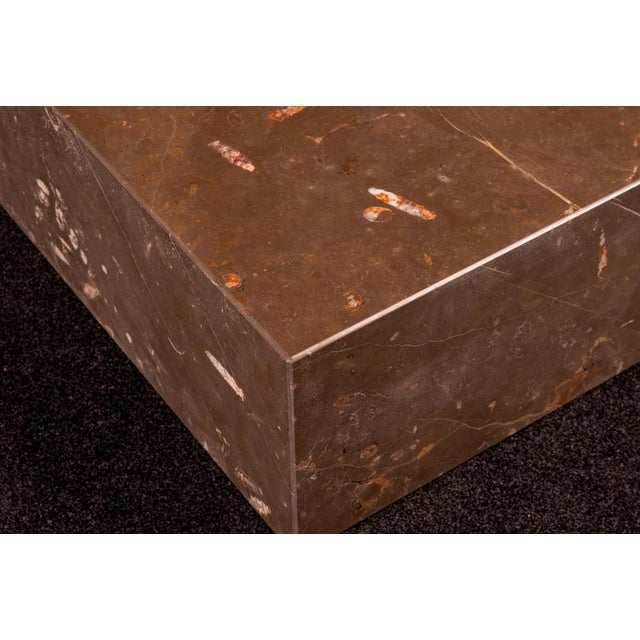 Silvestrin Coffee Table in Jurassic Fossil Stone by Nerinea For Sale - Image 4 of 7