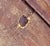 Early American Primitive Dry Sink in Original Surface, C. 1830 For Sale - Image 15 of 18