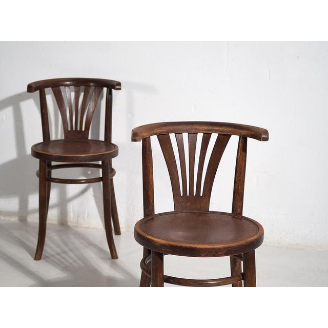 Chairs with Armrests from Thonet, 1920s, Set of 2 For Sale - Image 3 of 11