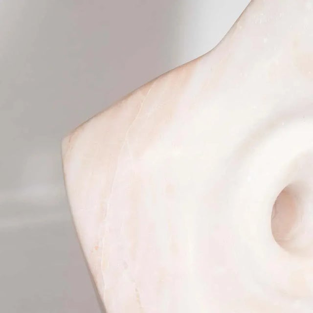 Stone Mid-Century Modern Abstract Marble Sculpture on Black Enamel Swivel Base For Sale - Image 7 of 10