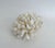 Natural White Cluster Coral Specimen Coastal Decor For Sale - Image 4 of 8