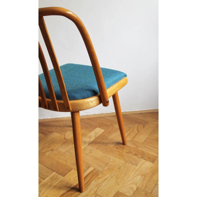 Brown Mid-Century Dining Chair Model U - 300 attributed to Antonin Suman for Interier Praha, 1960s For Sale - Image 8 of 12