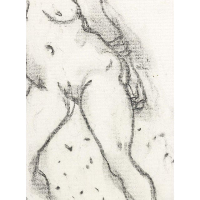 Manfred Schwartz Nude Woman Study Charcoal For Sale - Image 4 of 7
