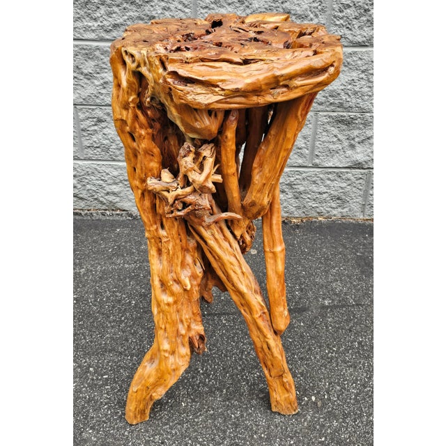 Contemporary Varnished Driftwood Root Natural Organic Wood Pedestal Side End Table Stand For Sale - Image 3 of 7