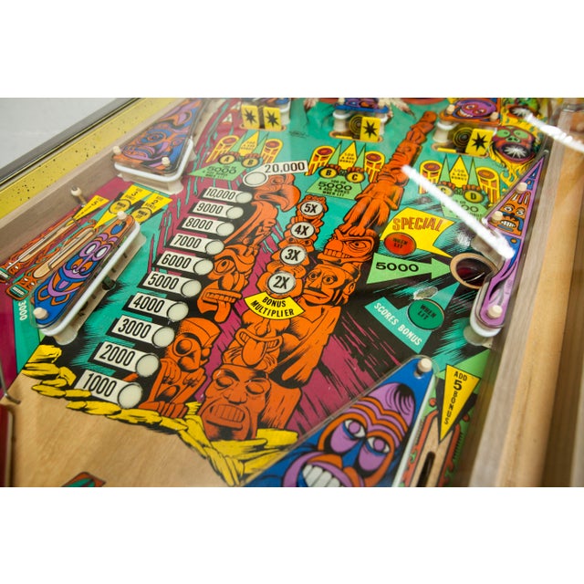Totem Pinball Machine from Gottlieb, 1979 For Sale - Image 15 of 18