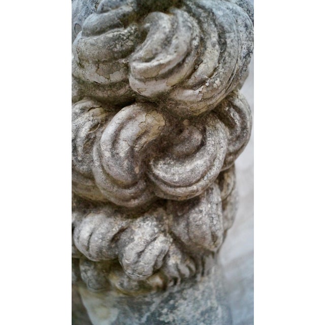 1940s Proud Stone Cast French Sitting Lions, Set of 2 For Sale - Image 5 of 18