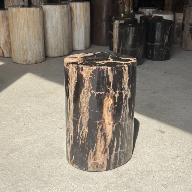Side Table in Black Petrified Wood with Beige Striations and a Circular Arc For Sale - Image 18 of 18