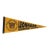 Leonhard Elementary School Felt Flag Pennant For Sale