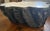 2020s Attributed Palecek Chloe Fossil Clam Lava Coffee Table For Sale - Image 5 of 15