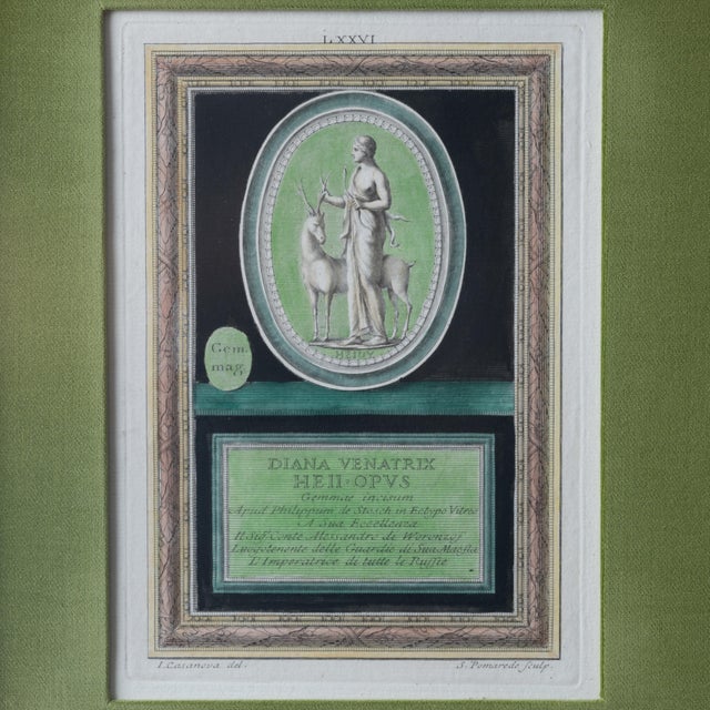 Traditional Cosimo Colombini Engravings, c.1760s For Sale - Image 3 of 8