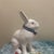 This charming vintage bunny features a clean white glaze, distinct pink eyes, and a classic blue and white gingham fabric...