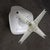 Metal Mid-20th Century Mid Century Modern Tulip Side Chair White Shell & Black Cushions by Burke For Sale - Image 7 of 12