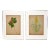 Pair of 1920s Botanical Watercolors by Artist Harold Haydon For Sale
