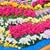 Blooming Valley & Snow Peak - Hand-Embroidered Wall Art For Sale - Image 12 of 14