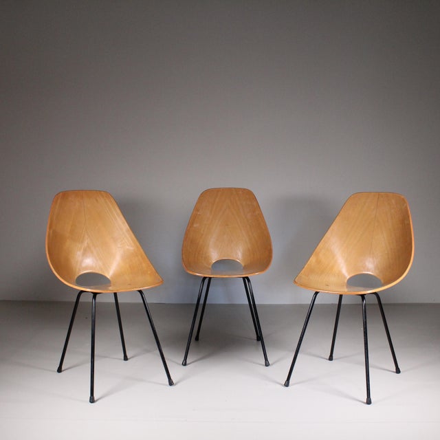 Mid-Century Modern Vintage Medea Chairs by Vittorio Nobili for Fratelli Tagliabue, Set of 3 For Sale - Image 3 of 12
