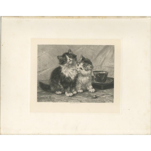 Title: "Friendly Feeling" - Cats and Kittens by Henriette Ronner (1894) : This enchanting artwork, titled "Friendly...