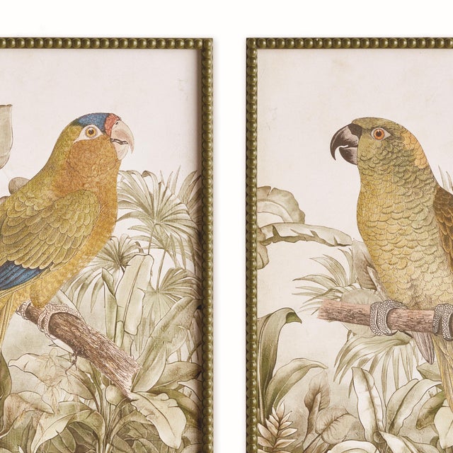 Traditional Tropical Parrot Prints, Set Of 2 For Sale - Image 3 of 5