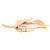 Metal 14 Karat Yellow Gold Freeform Leaf Brooch or Pin For Sale - Image 7 of 8