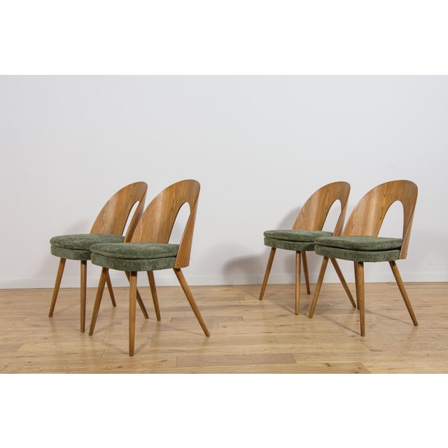 1960s Mid-Century Modern Ash Veneer Dining Chairs by Antonín Šuman for Mier Topoľčany, Czechoslovakia, 1960s, Set of 4 For Sale - Image 5 of 18