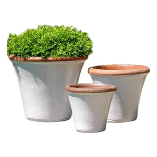 Brighton Antique White Terra Cotta Planters, Set of 3 For Sale