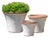 Brighton Antique White Terra Cotta Planters, Set of 3 For Sale