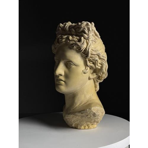 Cream Apollo Bust in Concrete For Sale - Image 8 of 12