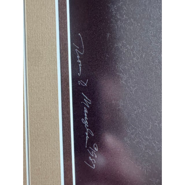 Photography 1987 Thomas D. Mangelsen Signed Limited Edition "Giraffes at Sunset" Framed Photo Print - 169/950 For Sale - Image 7 of 8