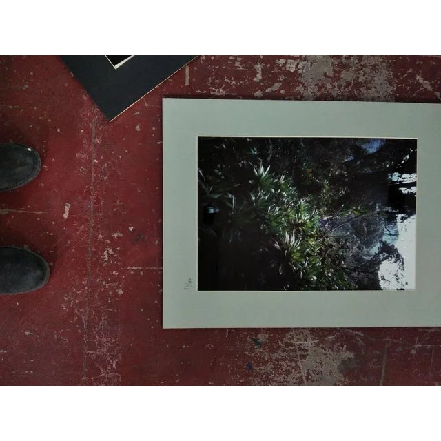 This photography includes a certificate of authenticity issued by gallery. It is a color photography on glossy paper....