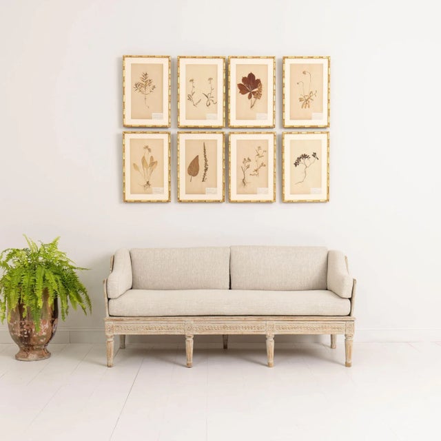 Gustavian (Swedish) 18th Century Swedish Gustavian Period Painted Sofa 'Trägsoffa' For Sale - Image 3 of 12