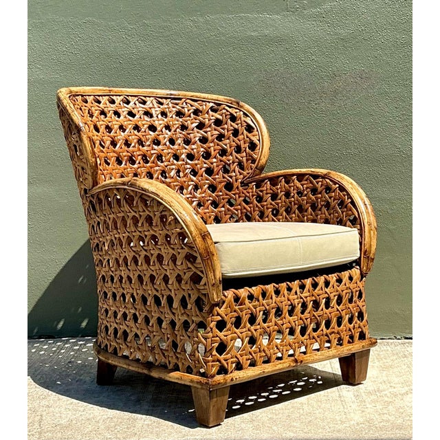 French Vintage French Cane Lounge Chair For Sale - Image 3 of 17