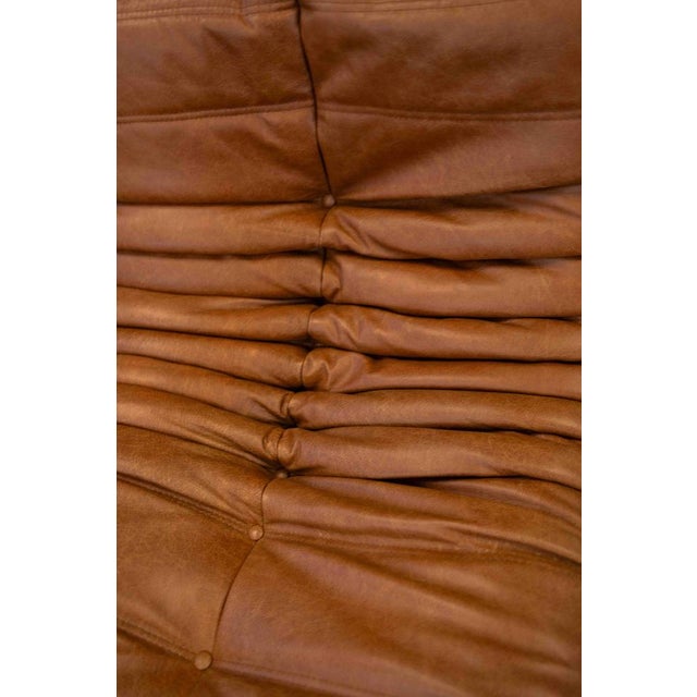 Togo Chaise Lounge in Pine Leather by Michel Ducaroy for Ligne Roset, 1974 For Sale - Image 13 of 18
