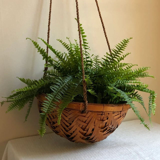 Mid 20th Century 1970s Rattan Hanging Basket Planter For Sale - Image 5 of 13
