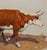 Fred Darge "Cow and Calf" Brown and White Abstract Impressionist Painting of Cows, Mid-20th Century For Sale - Image 9 of 11