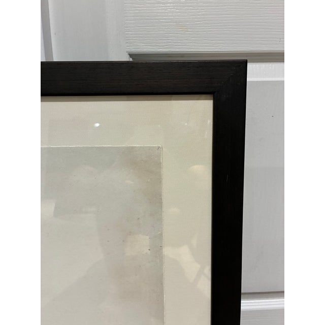 Ivory Natural Curiosities “St. Germain Pear-Tree” Oversized Botanical Print, For Sale - Image 8 of 10