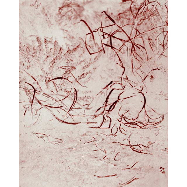 Ugne Pouwell, Rustika, 2026, Analog Abstract Photograph, Limited Edition of 10 For Sale