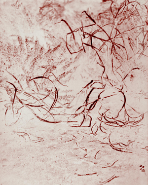 Ugne Pouwell, Rustika, 2026, Analog Abstract Photograph, Limited Edition of 10