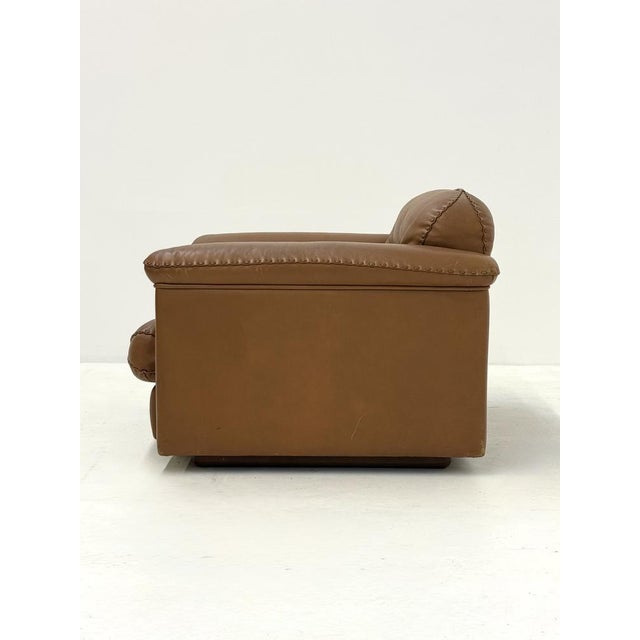 Vintage Camel Brown DS-101 Armchair from de Sede, 1970s For Sale - Image 9 of 18
