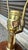 Wood 1960s Mid Century Modern Cork Table Lamp For Sale - Image 7 of 8