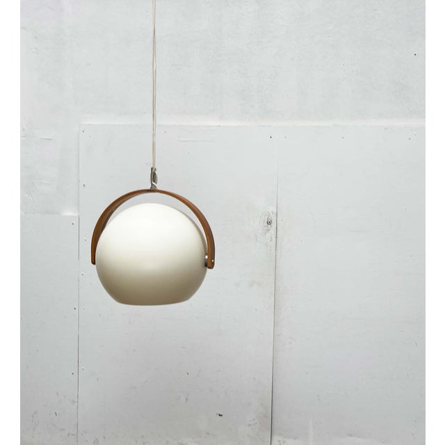 Mid-Century Modern Swiss Space Age Plastic and Plywood Pendant Lamp from Temde, 1960s For Sale - Image 12 of 18
