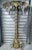 Mid 20th Century Maison Janseni Style French Palm Tree Gilt Floor Wall Sconces For Sale - Image 9 of 17