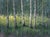 "Greens of Summer (The Assembly)" is an oil on panel landscape painting by Seth Winegar, completed in 2026. Pale aspen...