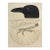 Mid 19th Century Us Pacifc Railroad Crow Raven Lithograph Book Plate For Sale
