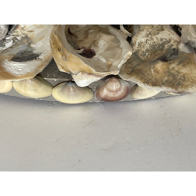 1970sReduced- Coastal Grotto Oyster Shells Encrusted Round Mirtor For Sale - Image 4 of 8