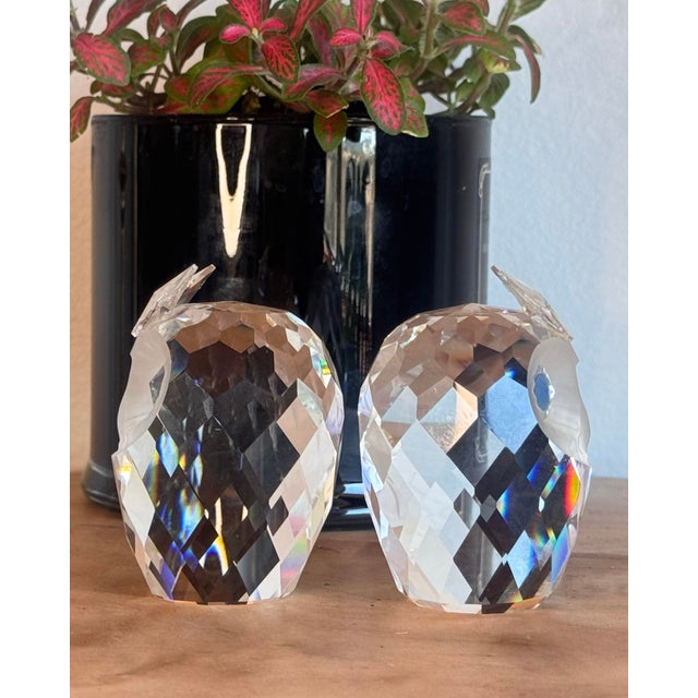 Swarovski Swarovski Crystal “Woodland Friends” Owls (Set of 2) For Sale - Image 4 of 12