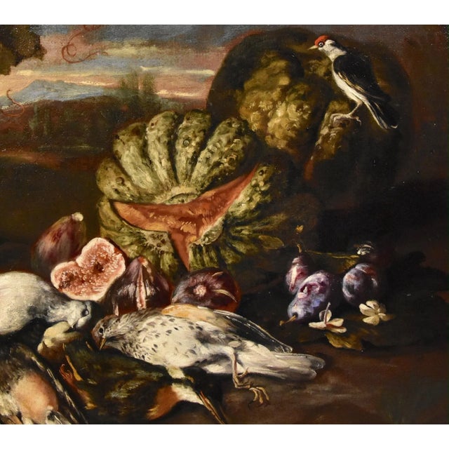 Giovanni Paolo Castelli, Still Life, 1700, Oil on Canvas, Framed For Sale - Image 11 of 16