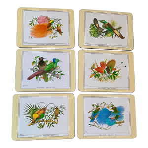 Set of Six Exotic Bird Prints