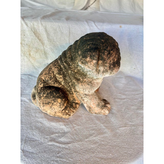 Early 20th Century French Terracotta Bulldog Garden Sculpture For Sale - Image 4 of 13