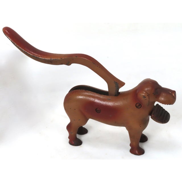This really is a Great Looking - Very Unusual Antique Free Standing Figurative Dog Table Top Nut Cracker. Circa Early 20th...