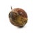 Early 20th Century Early 20th Century Maasai Beaded Milk Gourd Container Kenya For Sale - Image 5 of 7