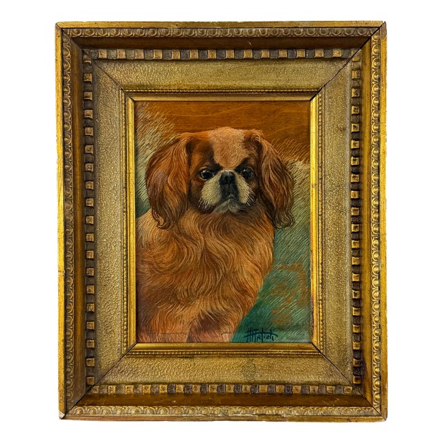Pekingese Dog Portrait, Oil on Panel, 20th Century, Framed For Sale